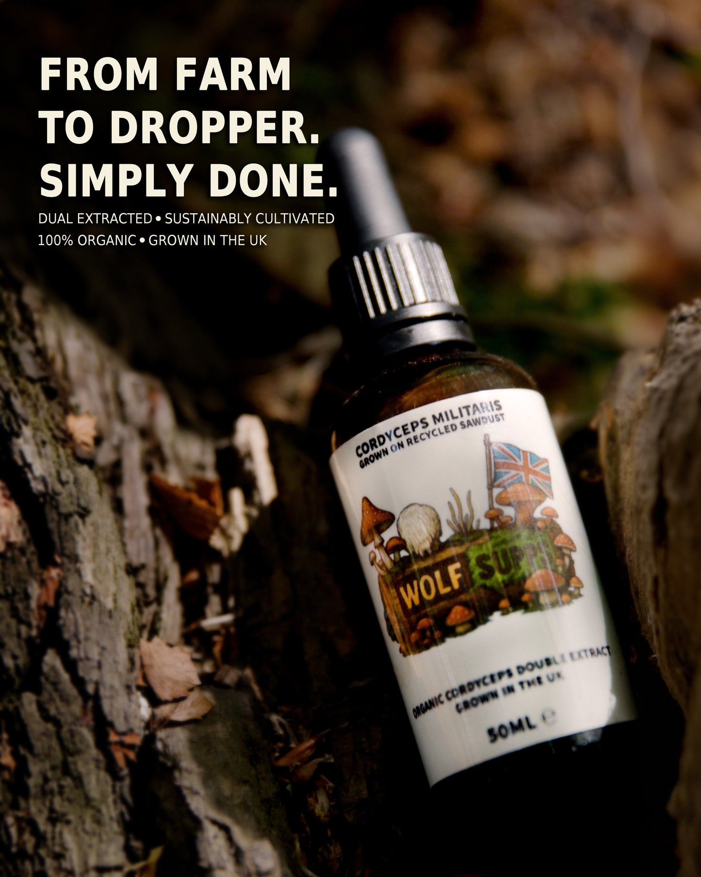 A 50ml dropper bottle of Cordonce's Wolf Organic Cordyceps Militius double extract, shown leaning against tree bark in an outdoor forest setting. The bottle is dark amber glass with a white label featuring a rustic wolf and mushroom illustration, and a black dropper cap.