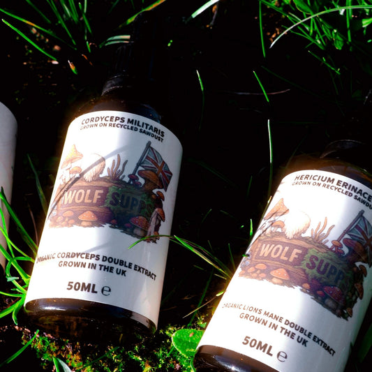 Wolf Supplements Mushroom Tincture Range