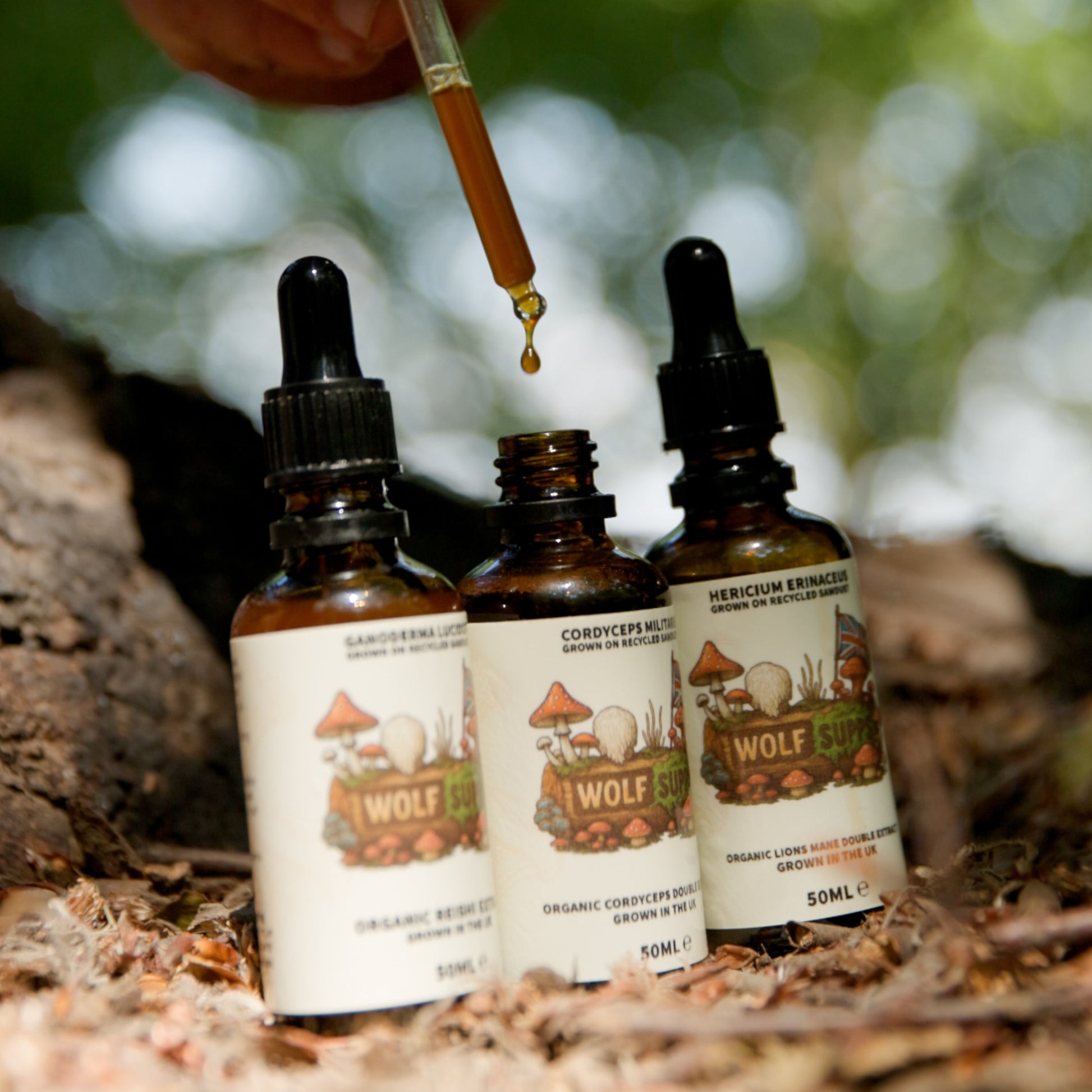 Three small amber dropper bottles labeled Wolf Brand sit on a forest floor, with a hand holding a glass dropper above them.