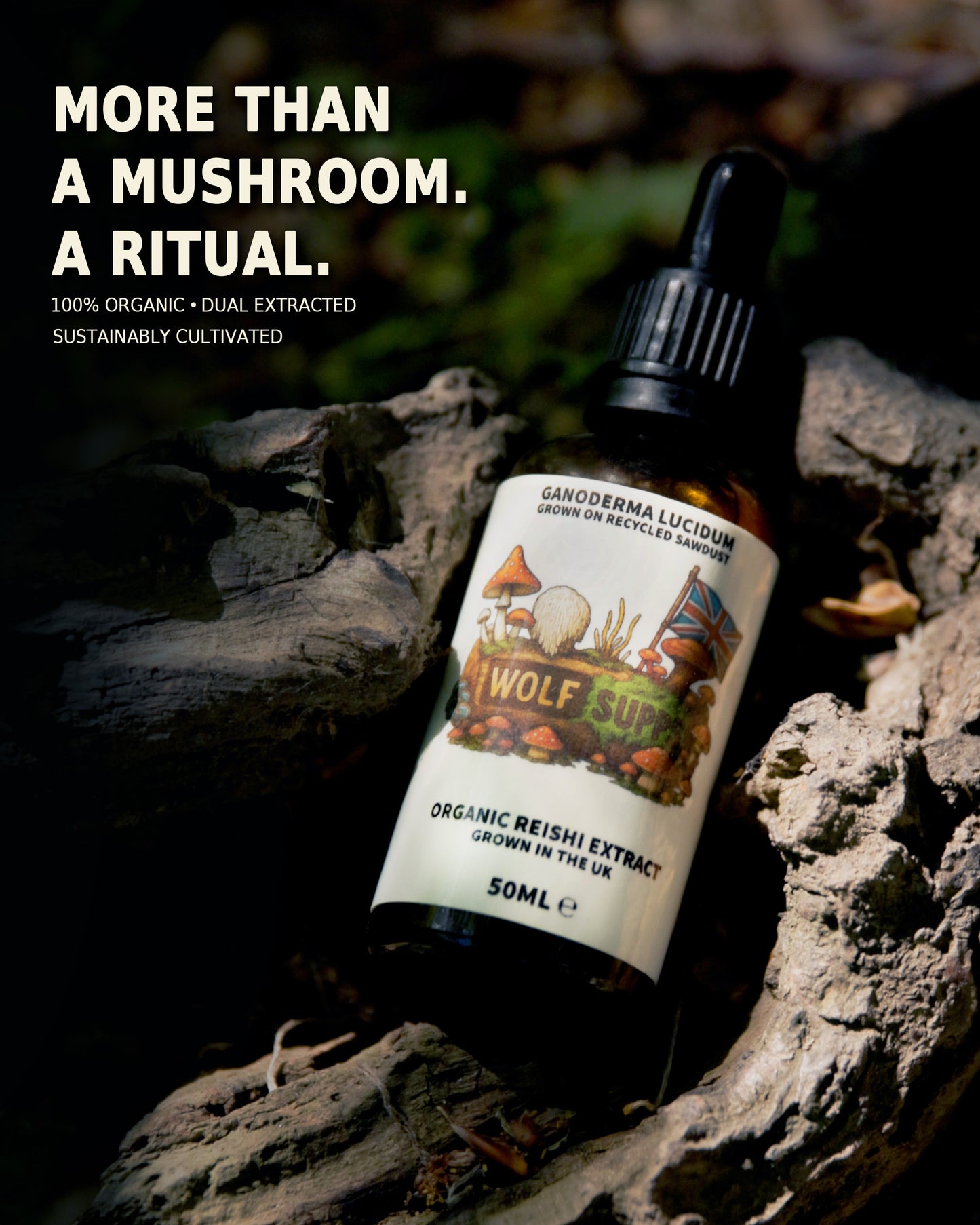A 50ml dropper bottle of Wolf Cure Reishi Extract mushroom extract, set on a rustic log with outdoor forest background. The image includes promotional text on the left: 'MORE THAN A MUSHROOM.